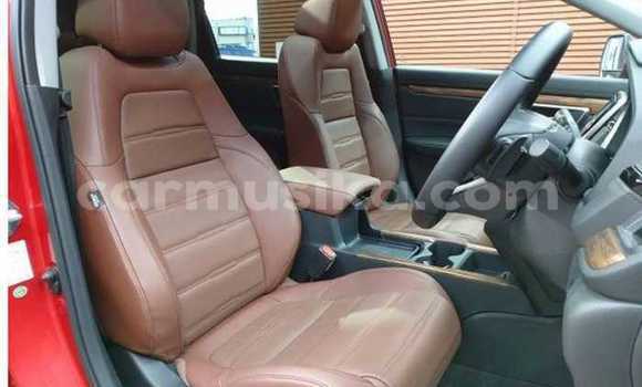 Buy Used Honda CR–V Red Car in Beitbridge in Matabeleland South Buy Used Honda CR–V Red Car in Beitbridge in Matabeleland South