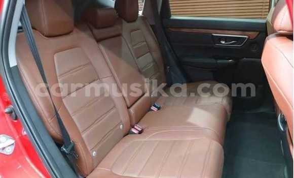 Buy Used Honda CR–V Red Car in Beitbridge in Matabeleland South Buy Used Honda CR–V Red Car in Beitbridge in Matabeleland South