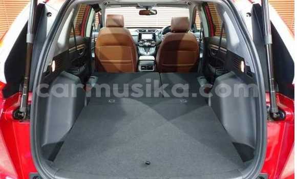 Buy Used Honda CR–V Red Car in Beitbridge in Matabeleland South Buy Used Honda CR–V Red Car in Beitbridge in Matabeleland South