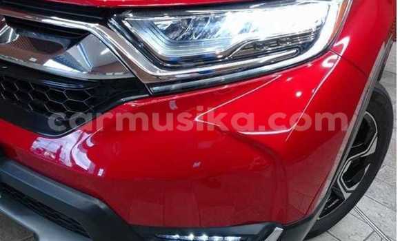 Buy Used Honda CR–V Red Car in Beitbridge in Matabeleland South Buy Used Honda CR–V Red Car in Beitbridge in Matabeleland South