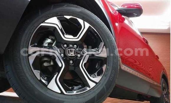 Buy Used Honda CR–V Red Car in Beitbridge in Matabeleland South Buy Used Honda CR–V Red Car in Beitbridge in Matabeleland South