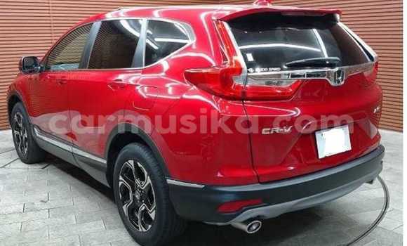 Buy Used Honda CR–V Red Car in Beitbridge in Matabeleland South Buy Used Honda CR–V Red Car in Beitbridge in Matabeleland South