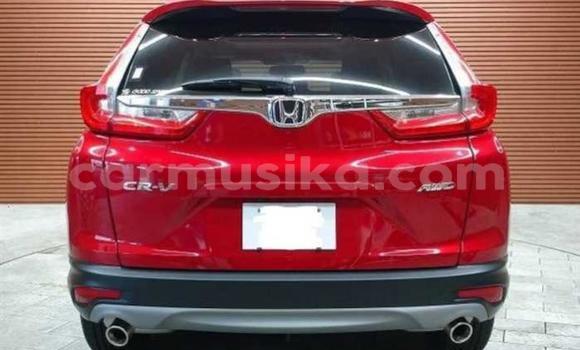 Buy Used Honda CR–V Red Car in Beitbridge in Matabeleland South Buy Used Honda CR–V Red Car in Beitbridge in Matabeleland South