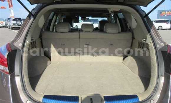 Nunua Ilio tumika Nissan Murano Beige Gari ndani ya Beitbridge nchini Matabeleland Kusini Nunua Ilio tumika Nissan Murano Beige Gari ndani ya Beitbridge nchini Matabeleland Kusini