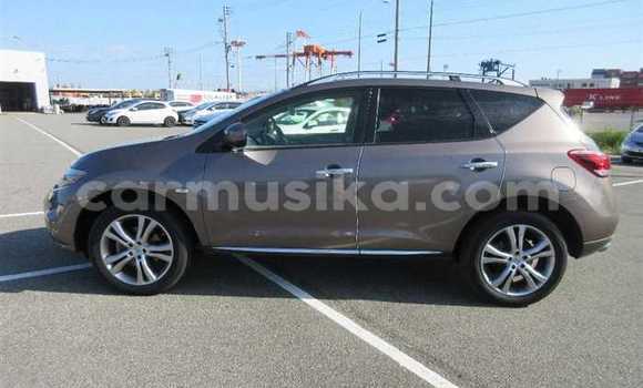 Nunua Ilio tumika Nissan Murano Beige Gari ndani ya Beitbridge nchini Matabeleland Kusini Nunua Ilio tumika Nissan Murano Beige Gari ndani ya Beitbridge nchini Matabeleland Kusini