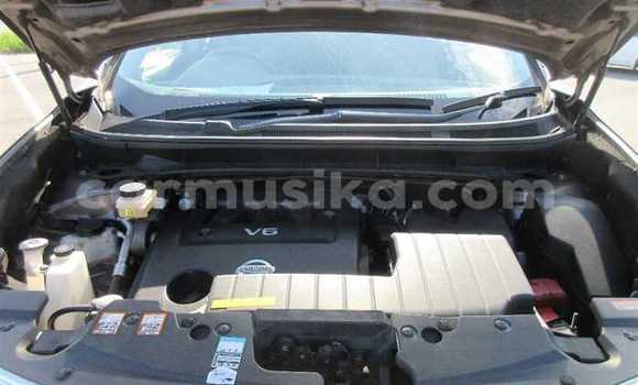 Nunua Ilio tumika Nissan Murano Beige Gari ndani ya Beitbridge nchini Matabeleland Kusini Nunua Ilio tumika Nissan Murano Beige Gari ndani ya Beitbridge nchini Matabeleland Kusini