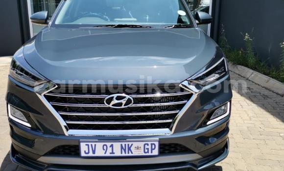 Buy Used Hyundai Tucson Beige Car in Beitbridge in Matabeleland South