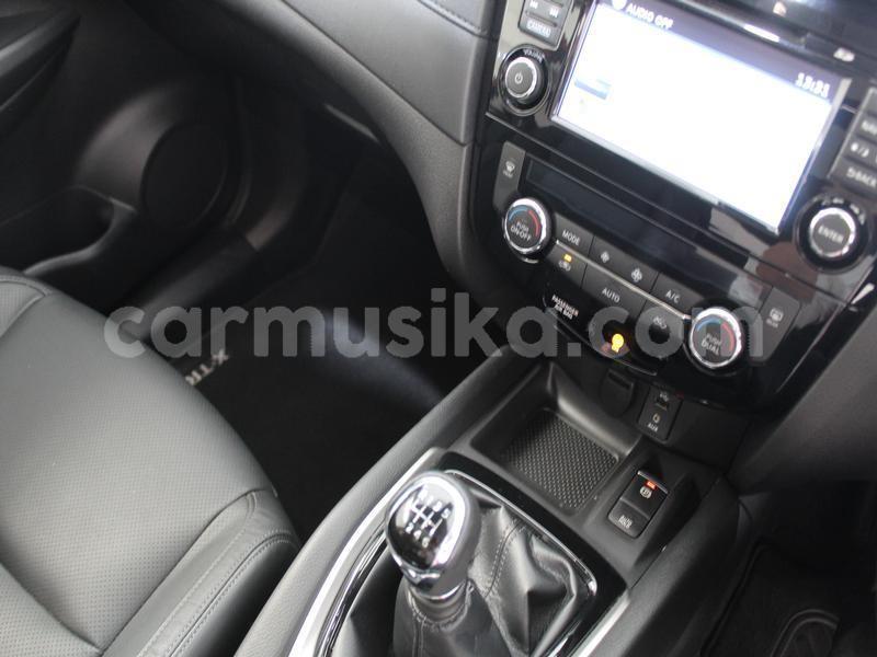 Big with watermark nissan x trail matabeleland south beitbridge 20411