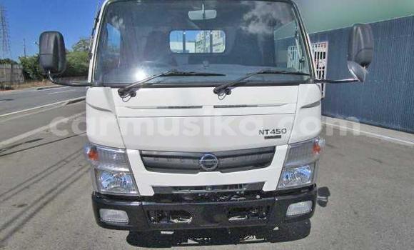 Nunua Ilio tumika Nissan UD Nyeupe Lori ndani ya Beitbridge nchini Matabeleland Kusini