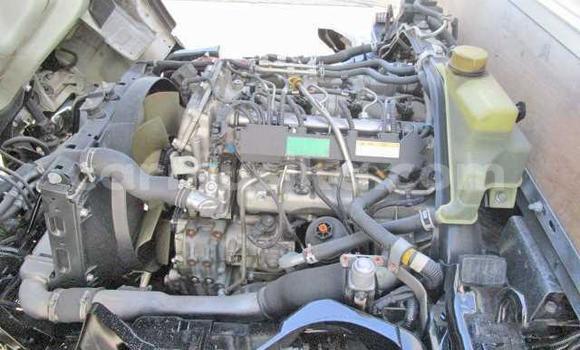 Tenga Tsaru Nissan UD Chena Rori in Beitbridge in Matabeleland South Tenga Tsaru Nissan UD Chena Rori in Beitbridge in Matabeleland South