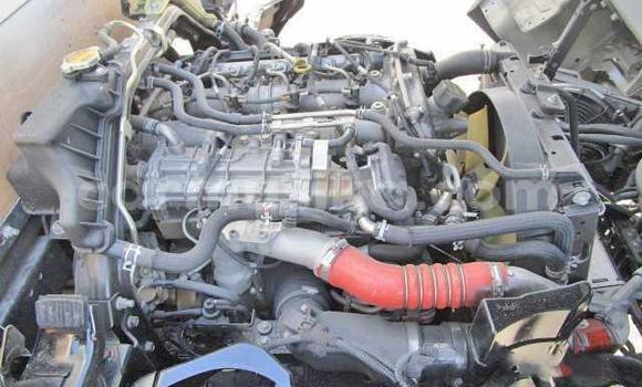 Tenga Tsaru Nissan UD Chena Rori in Beitbridge in Matabeleland South Tenga Tsaru Nissan UD Chena Rori in Beitbridge in Matabeleland South