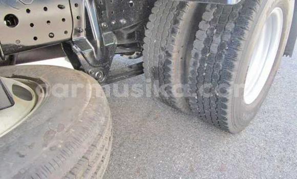 Tenga Tsaru Nissan UD Chena Rori in Beitbridge in Matabeleland South Tenga Tsaru Nissan UD Chena Rori in Beitbridge in Matabeleland South