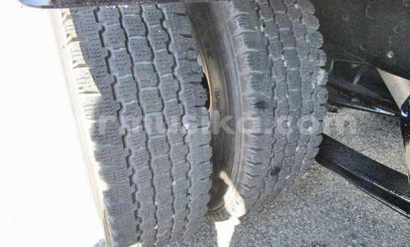 Tenga Tsaru Nissan UD Chena Rori in Beitbridge in Matabeleland South Tenga Tsaru Nissan UD Chena Rori in Beitbridge in Matabeleland South