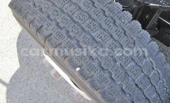 Tenga Tsaru Nissan UD Chena Rori in Beitbridge in Matabeleland South Tenga Tsaru Nissan UD Chena Rori in Beitbridge in Matabeleland South