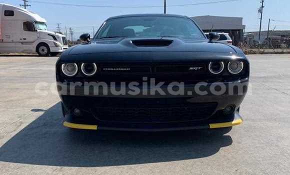 Tenga Tsaru Dodge Challenger Nhema Mota in Beitbridge in Matabeleland South