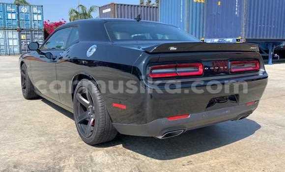Tenga Tsaru Dodge Challenger Nhema Mota in Beitbridge in Matabeleland South Tenga Tsaru Dodge Challenger Nhema Mota in Beitbridge in Matabeleland South