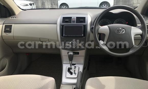 Nunua Ilio tumika Toyota Axio Nyeupe Gari ndani ya Beitbridge nchini Matabeleland Kusini Nunua Ilio tumika Toyota Axio Nyeupe Gari ndani ya Beitbridge nchini Matabeleland Kusini