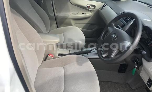 Nunua Ilio tumika Toyota Axio Nyeupe Gari ndani ya Beitbridge nchini Matabeleland Kusini Nunua Ilio tumika Toyota Axio Nyeupe Gari ndani ya Beitbridge nchini Matabeleland Kusini