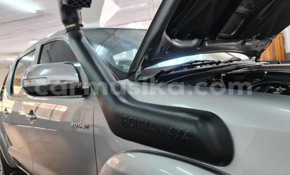 Nunua Ilio tumika Toyota Hilux Fedha Gari ndani ya Beitbridge nchini Matabeleland Kusini Nunua Ilio tumika Toyota Hilux Fedha Gari ndani ya Beitbridge nchini Matabeleland Kusini