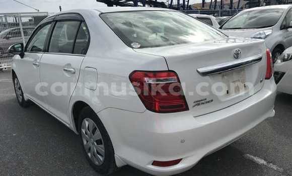 Buy Used Toyota Axio White Car in Beitbridge in Matabeleland South Buy Used Toyota Axio White Car in Beitbridge in Matabeleland South