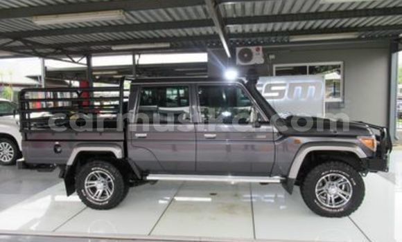 Tenga Tsaru Toyota Land Cruiser Sirivha Mota in Beitbridge in Matabeleland South