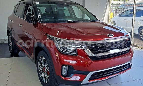 Acheter Occasion Voiture Kia Sephia Rouge à Beitbridge, Matabeleland South