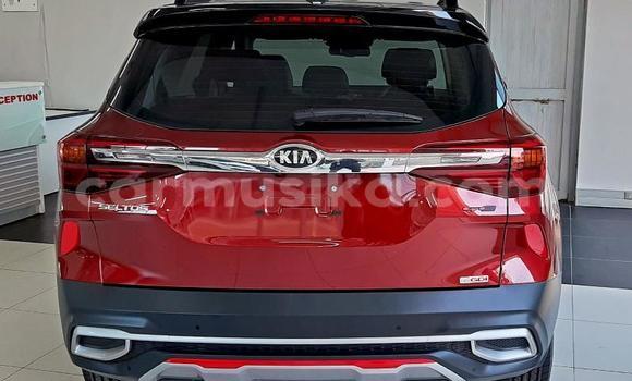 Tenga Tsaru Kia Sephia Tsvuku Mota in Beitbridge in Matabeleland South Tenga Tsaru Kia Sephia Tsvuku Mota in Beitbridge in Matabeleland South