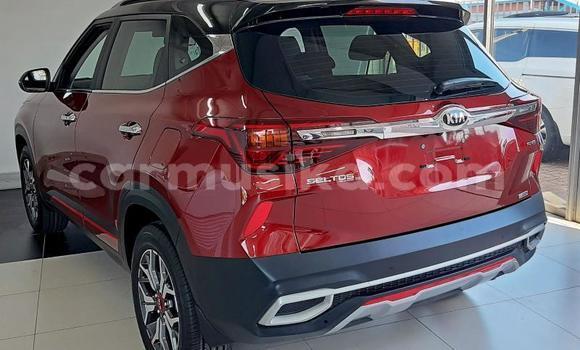 Tenga Tsaru Kia Sephia Tsvuku Mota in Beitbridge in Matabeleland South Tenga Tsaru Kia Sephia Tsvuku Mota in Beitbridge in Matabeleland South