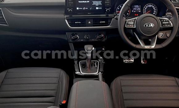 Tenga Tsaru Kia Sephia Tsvuku Mota in Beitbridge in Matabeleland South Tenga Tsaru Kia Sephia Tsvuku Mota in Beitbridge in Matabeleland South