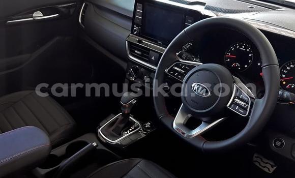 Tenga Tsaru Kia Sephia Tsvuku Mota in Beitbridge in Matabeleland South Tenga Tsaru Kia Sephia Tsvuku Mota in Beitbridge in Matabeleland South