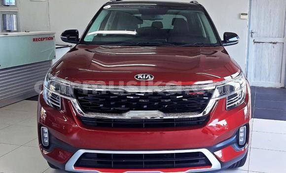 Tenga Tsaru Kia Sephia Tsvuku Mota in Beitbridge in Matabeleland South Tenga Tsaru Kia Sephia Tsvuku Mota in Beitbridge in Matabeleland South