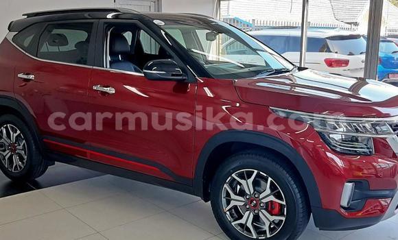 Tenga Tsaru Kia Sephia Tsvuku Mota in Beitbridge in Matabeleland South Tenga Tsaru Kia Sephia Tsvuku Mota in Beitbridge in Matabeleland South