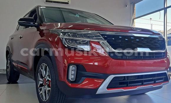 Tenga Tsaru Kia Sephia Tsvuku Mota in Beitbridge in Matabeleland South Tenga Tsaru Kia Sephia Tsvuku Mota in Beitbridge in Matabeleland South