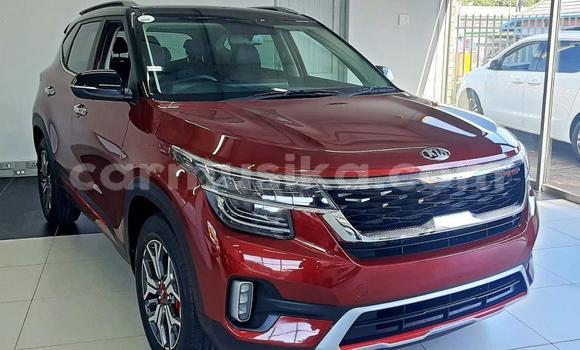 Tenga Tsaru Kia Sephia Tsvuku Mota in Beitbridge in Matabeleland South Tenga Tsaru Kia Sephia Tsvuku Mota in Beitbridge in Matabeleland South