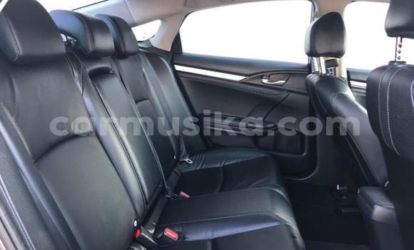 Buy Used Honda Civic Beige Car in Beitbridge in Matabeleland South Buy Used Honda Civic Beige Car in Beitbridge in Matabeleland South