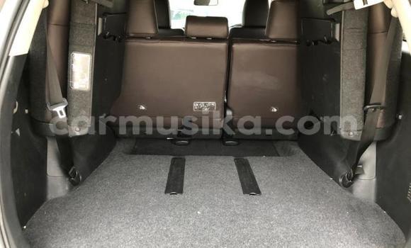 Acheter Occasion Voiture Toyota Fortuner Beige à Beitbridge, Matabeleland South Acheter Occasion Voiture Toyota Fortuner Beige à Beitbridge, Matabeleland South