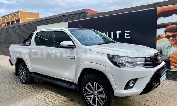 Tenga Tsaru Toyota Hilux Chena Mota in Beitbridge in Matabeleland South