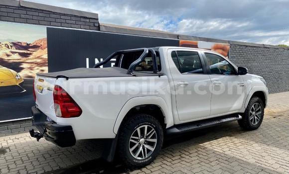Tenga Tsaru Toyota Hilux Chena Mota in Beitbridge in Matabeleland South Tenga Tsaru Toyota Hilux Chena Mota in Beitbridge in Matabeleland South