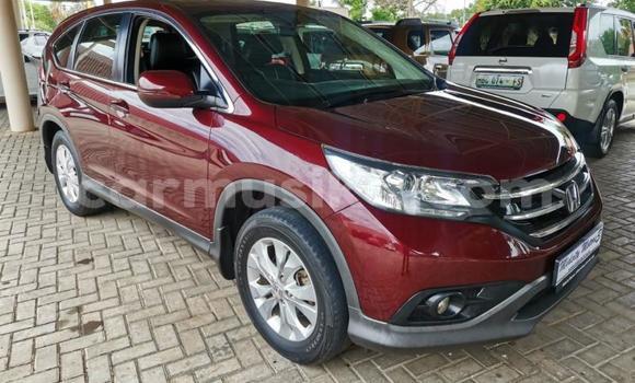 Acheter Occasion Voiture Honda CR–V Rouge à Beitbridge, Matabeleland South