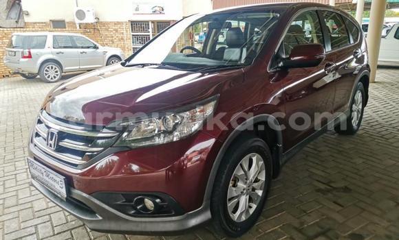 Acheter Occasion Voiture Honda CR–V Rouge à Beitbridge, Matabeleland South Acheter Occasion Voiture Honda CR–V Rouge à Beitbridge, Matabeleland South
