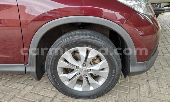 Acheter Occasion Voiture Honda CR–V Rouge à Beitbridge, Matabeleland South Acheter Occasion Voiture Honda CR–V Rouge à Beitbridge, Matabeleland South