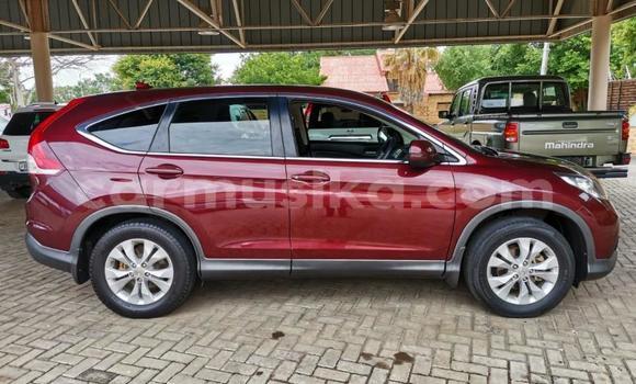 Acheter Occasion Voiture Honda CR–V Rouge à Beitbridge, Matabeleland South Acheter Occasion Voiture Honda CR–V Rouge à Beitbridge, Matabeleland South