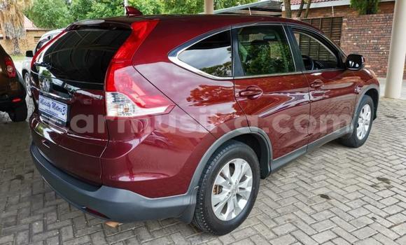 Acheter Occasion Voiture Honda CR–V Rouge à Beitbridge, Matabeleland South Acheter Occasion Voiture Honda CR–V Rouge à Beitbridge, Matabeleland South