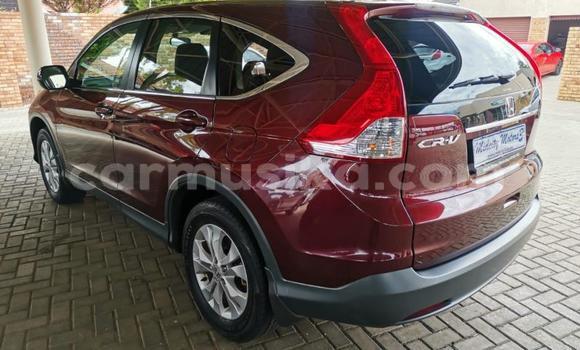 Acheter Occasion Voiture Honda CR–V Rouge à Beitbridge, Matabeleland South Acheter Occasion Voiture Honda CR–V Rouge à Beitbridge, Matabeleland South