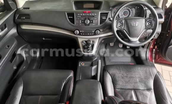 Acheter Occasion Voiture Honda CR–V Rouge à Beitbridge, Matabeleland South Acheter Occasion Voiture Honda CR–V Rouge à Beitbridge, Matabeleland South