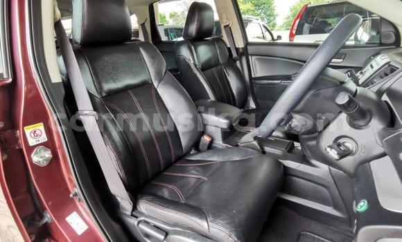 Acheter Occasion Voiture Honda CR–V Rouge à Beitbridge, Matabeleland South Acheter Occasion Voiture Honda CR–V Rouge à Beitbridge, Matabeleland South