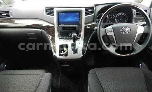 Tenga Tsaru Toyota Alphard Chena Mota in Beitbridge in Matabeleland South Tenga Tsaru Toyota Alphard Chena Mota in Beitbridge in Matabeleland South