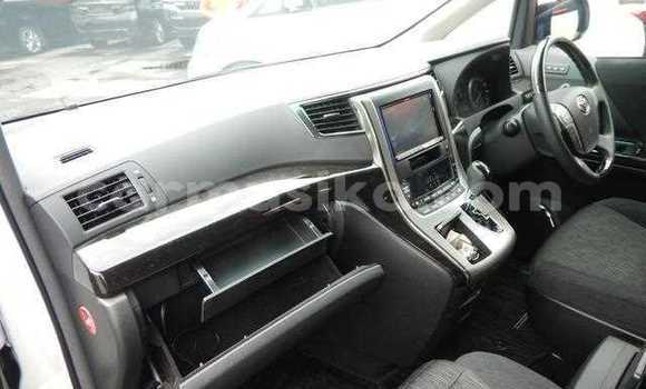 Tenga Tsaru Toyota Alphard Chena Mota in Beitbridge in Matabeleland South Tenga Tsaru Toyota Alphard Chena Mota in Beitbridge in Matabeleland South