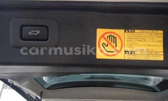 Tenga Tsaru Toyota Alphard Chena Mota in Beitbridge in Matabeleland South Tenga Tsaru Toyota Alphard Chena Mota in Beitbridge in Matabeleland South