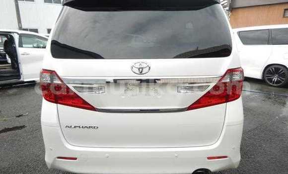 Tenga Tsaru Toyota Alphard Chena Mota in Beitbridge in Matabeleland South Tenga Tsaru Toyota Alphard Chena Mota in Beitbridge in Matabeleland South